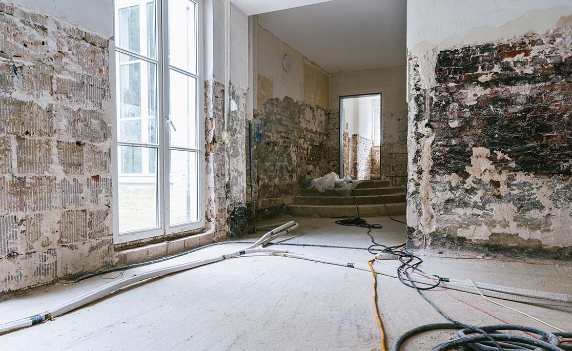 Mold Remediation Services in Boyne City, MI