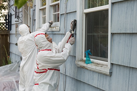 Lead Abatement Services