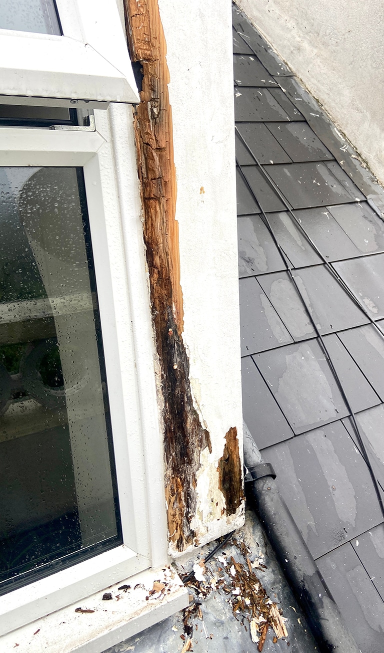 RotRepair