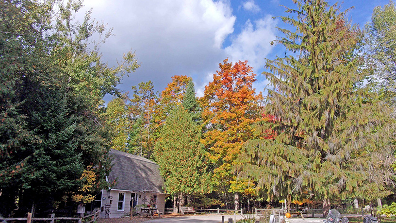 Thorne Swift Nature Preserve